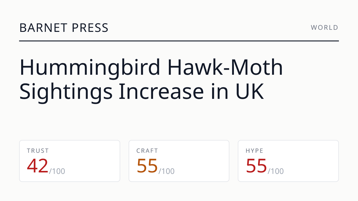 Hummingbird Hawk-Moth Sightings Increase in UK