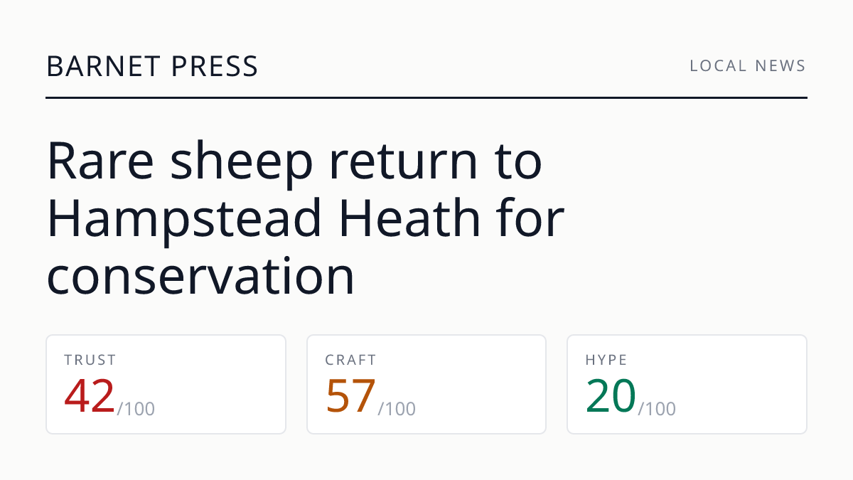Rare sheep return to Hampstead Heath for conservation
