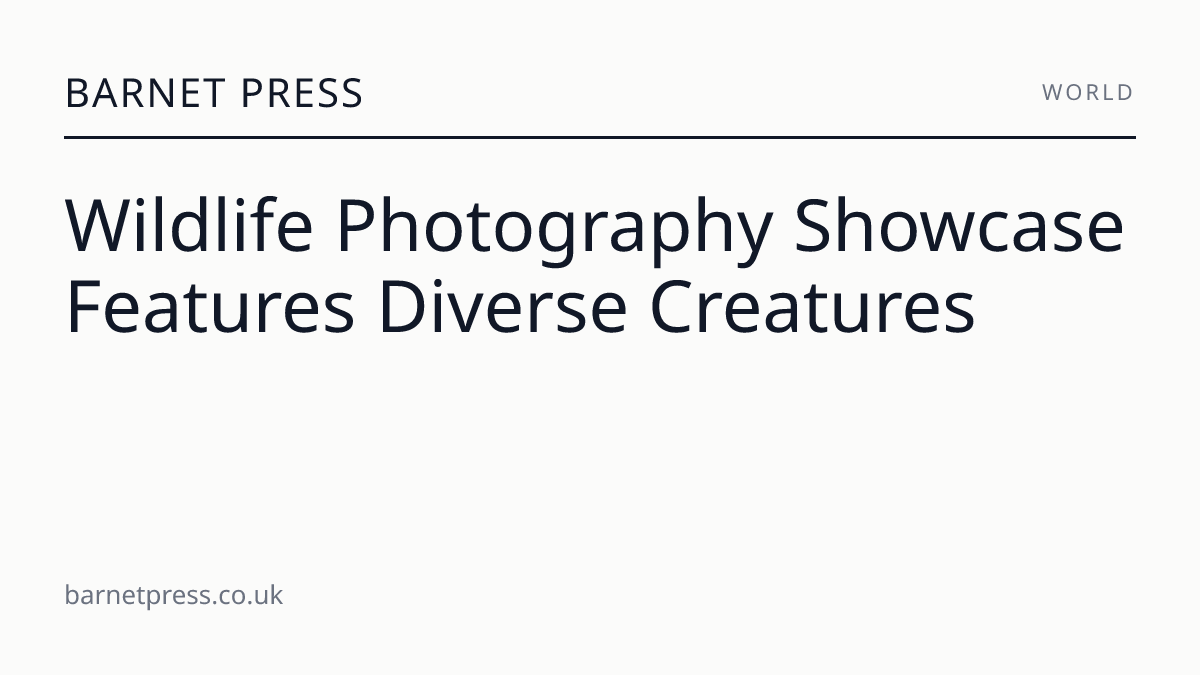 Wildlife Photography Showcase Features Diverse Creatures